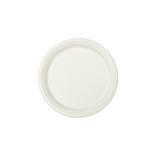 Biodegradable plates round disposable food grade sugarcane bagasse plates for party
